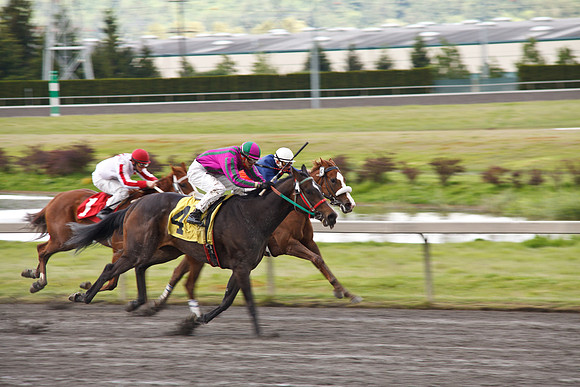 Emerald Downs