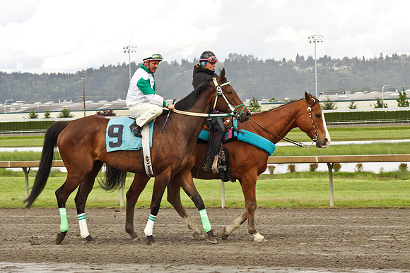 Emerald Downs