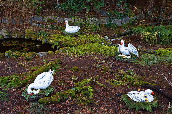 Trip to Victoria, 2010-12-05