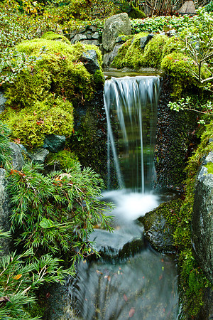 Trip to Victoria, 2010-12-05