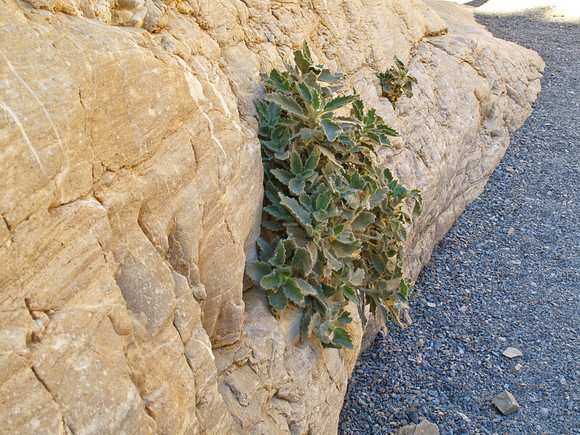 Death Valley
