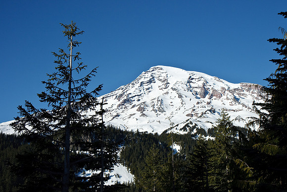Mount Rainier National Park