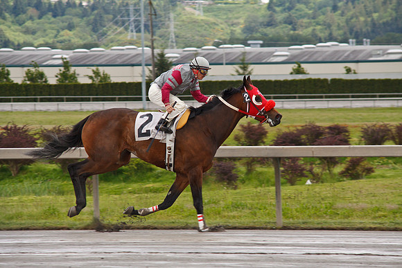 Emerald Downs