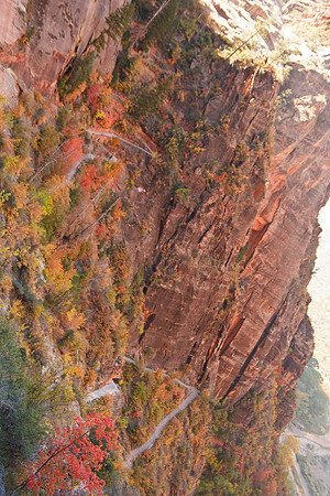 20081026_1971