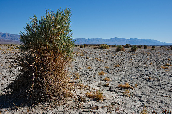 Death Valley