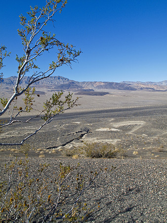 Death Valley, CA USA