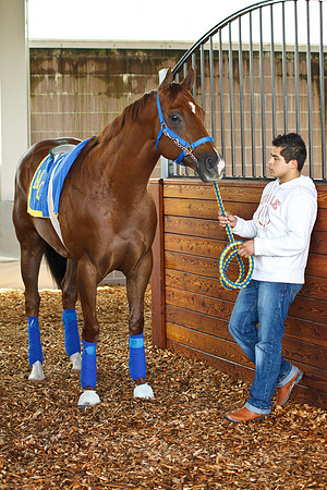 Emerald Downs