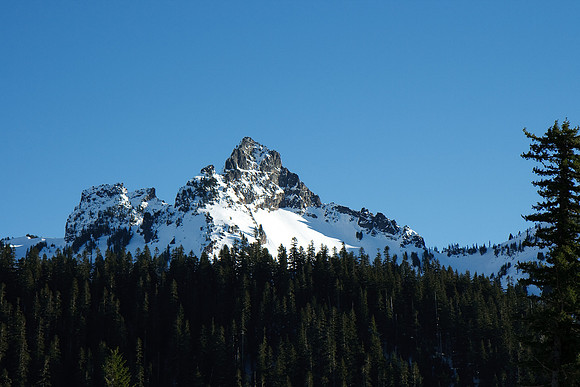 Mount Rainier National Park
