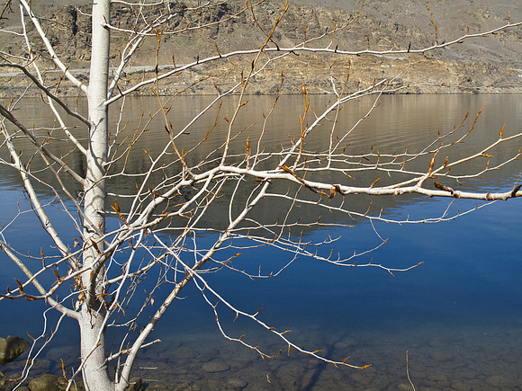 Columbia River East Wash.