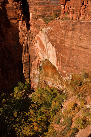 20081026_2014