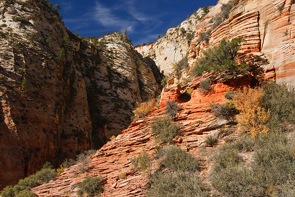 20081026_1989