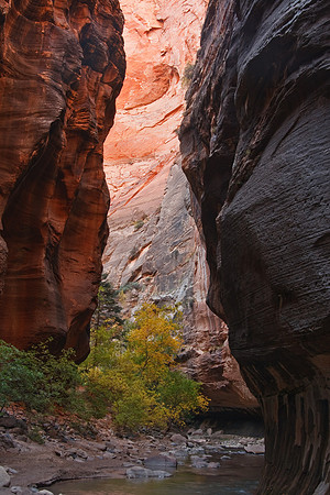 20081027_2063