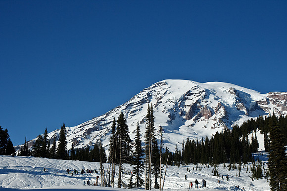 Mount Rainier National Park