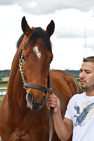 Emerald Downs