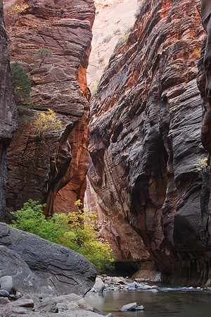 20081027_2064