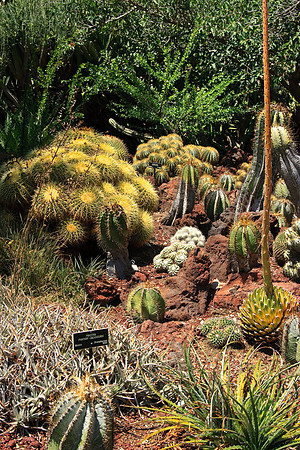 Huntington Gardens