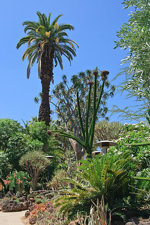 Huntington Gardens