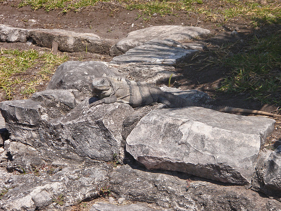 Tulum Mexico