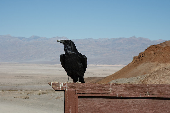Death Valley