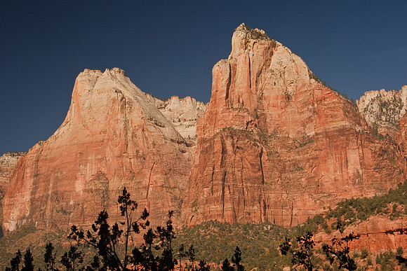 20081026_1961