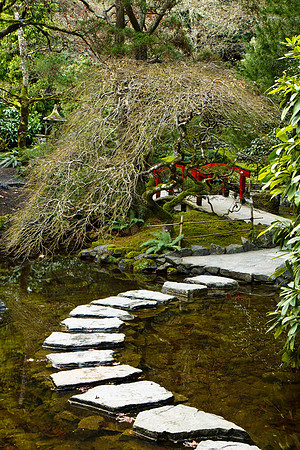 Trip to Victoria, 2010-12-05