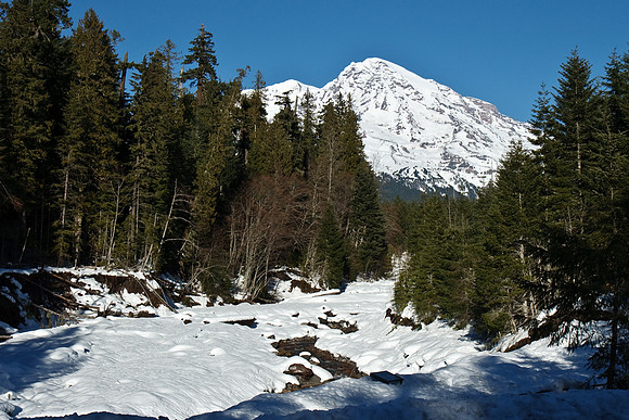 Mount Rainier National Park