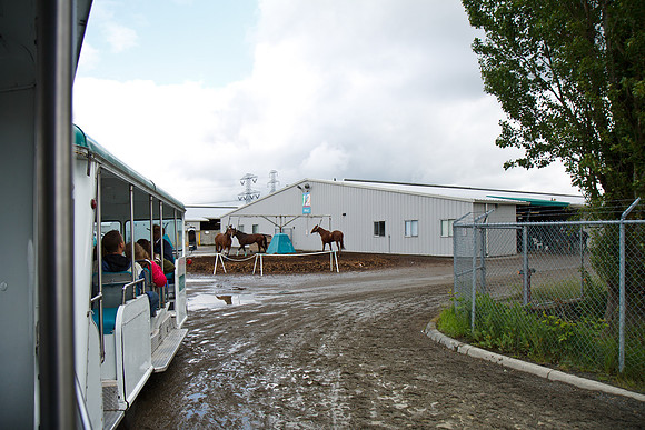 Emerald Downs