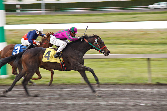 Emerald Downs