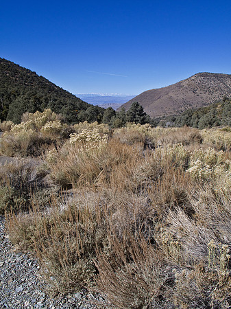 Death Valley