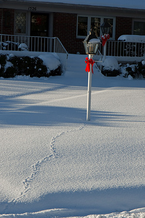 20081222_2327