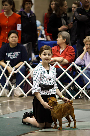 2011 AKC Dog Show, Seattle, WA, USA