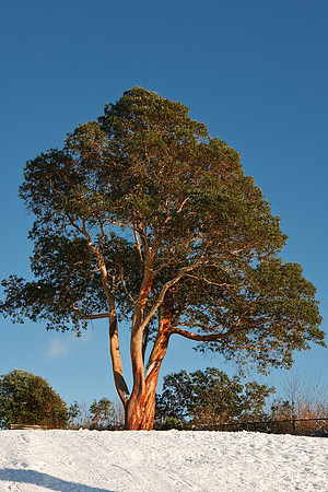 20081222_2338