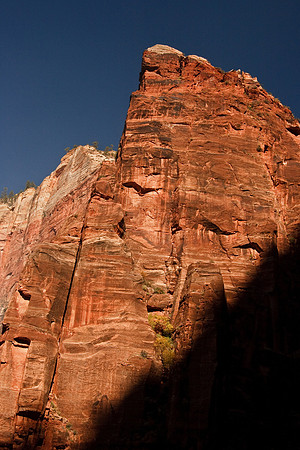 20081026_1968