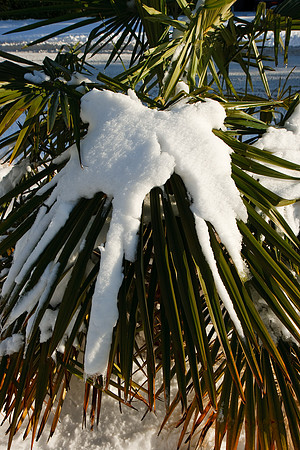 20081222_2310