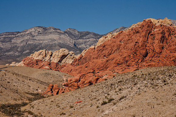20091114_6566